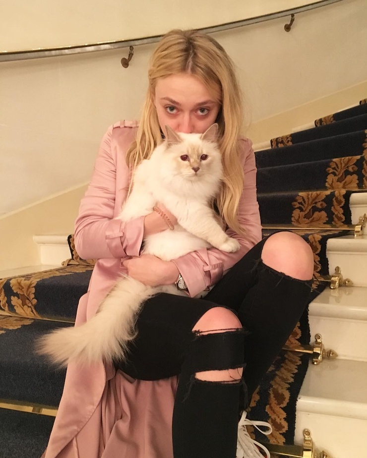 Dakota Fanning Dakota Fanning