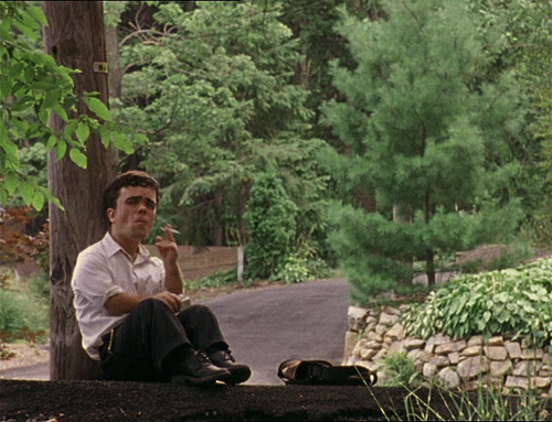 The Station Agent The Station Agent