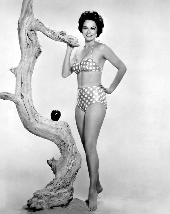 Joyce Taylor Joyce Taylor