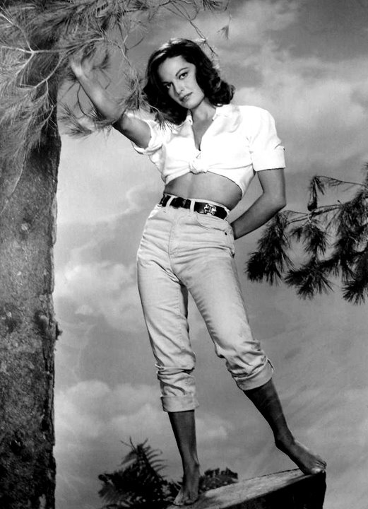 Joyce Taylor Joyce Taylor
