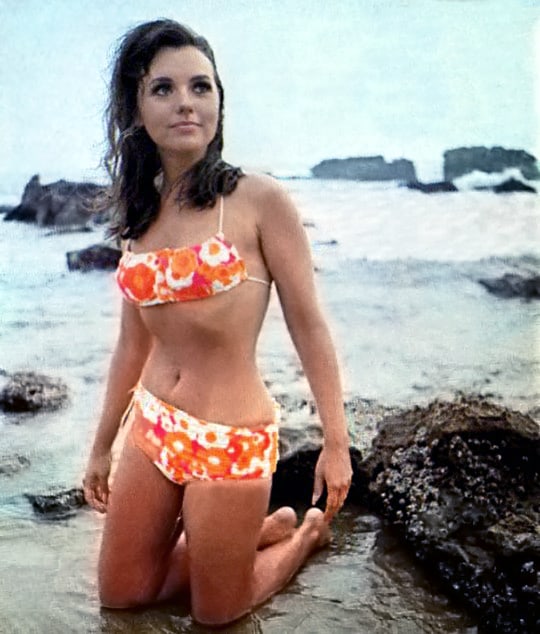 Dawn Wells Image 