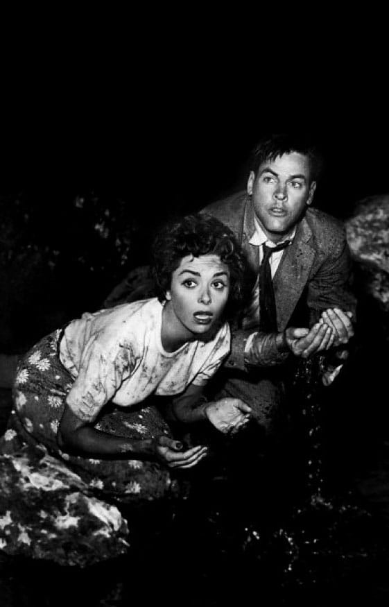 Invasion of the Body Snatchers (1956)