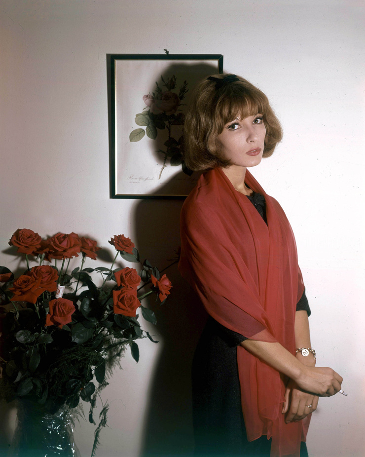 Dany Saval