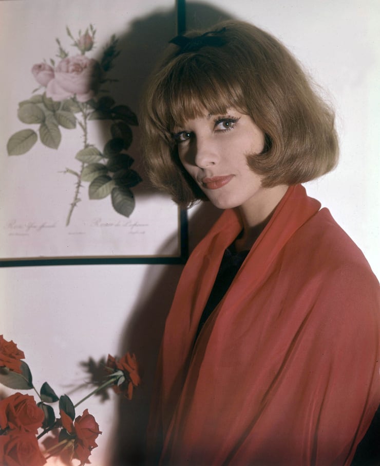 Dany Saval