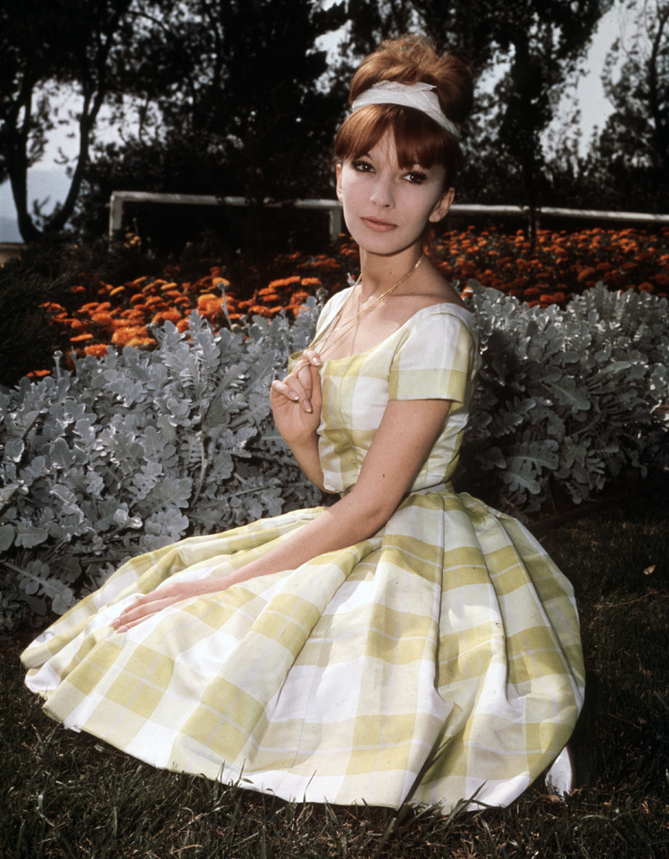 Dany Saval Dany Saval