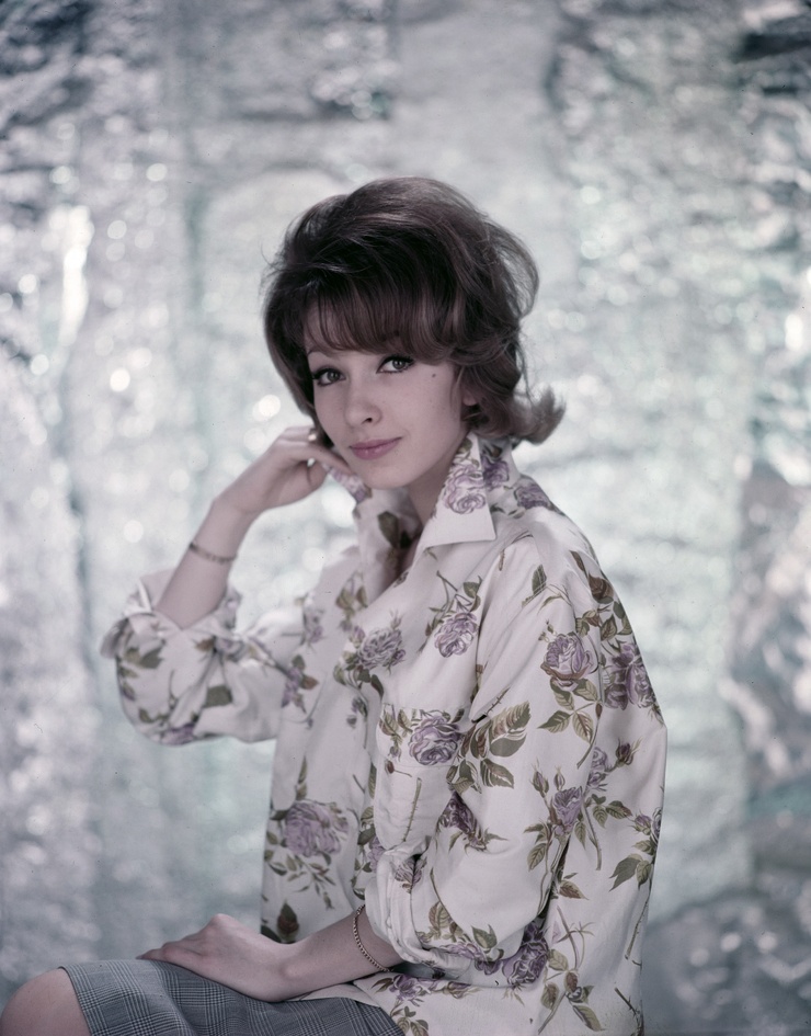 Dany Saval