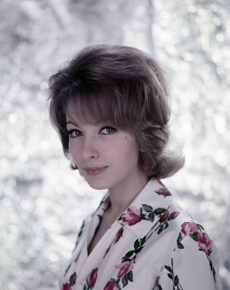Dany Saval