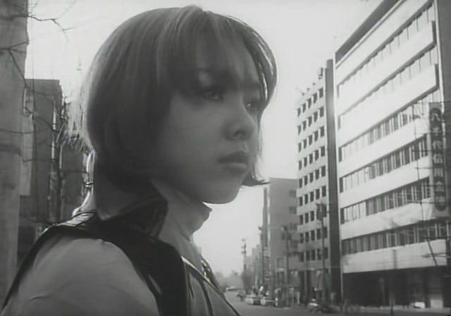 Picture of Funeral Parade of Roses