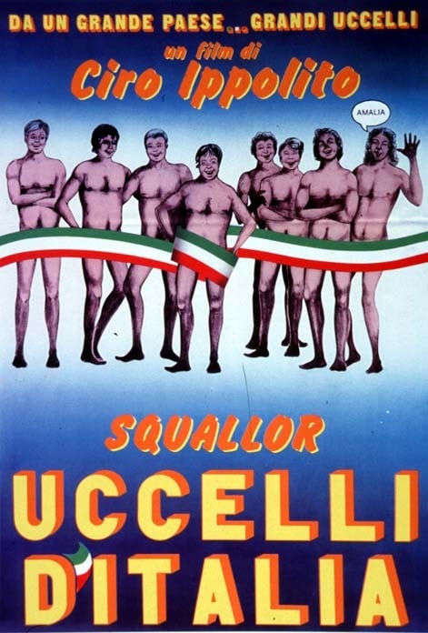 Uccelli d'Italia