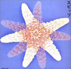 スピッツ (Spitz)