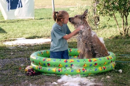 Because Of Winn-Dixie (2005)