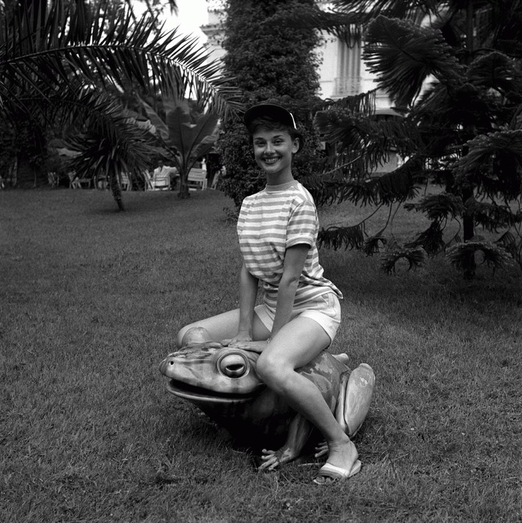 Audrey Hepburn Audrey Hepburn