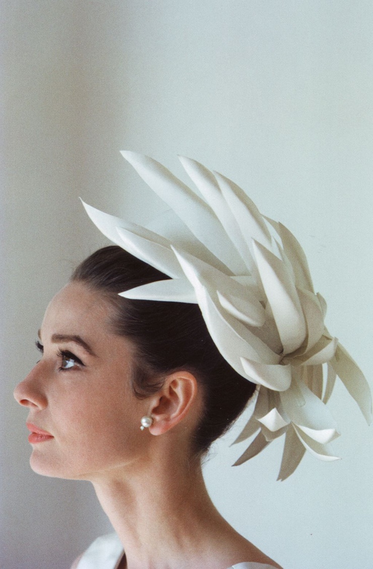 Audrey Hepburn Audrey Hepburn