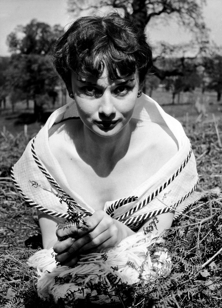 Audrey Hepburn Audrey Hepburn