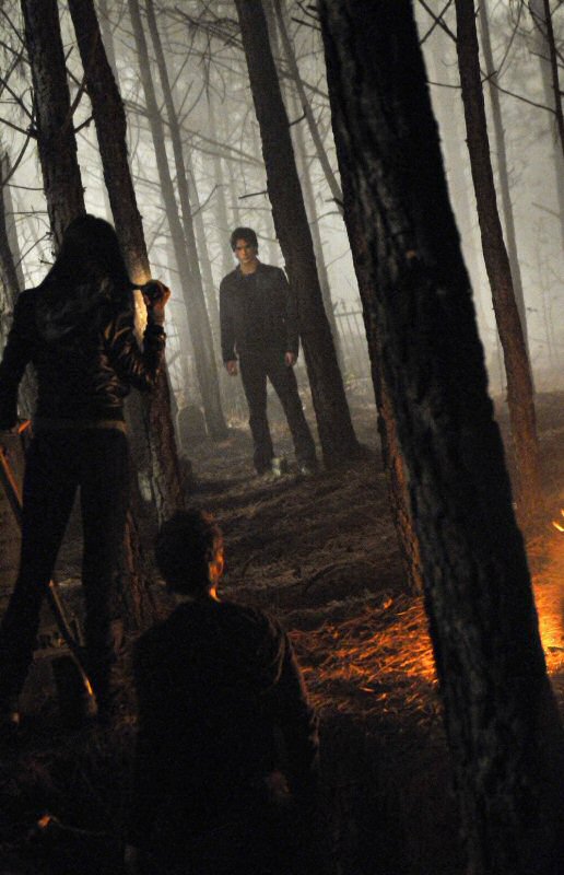 The Vampire Diaries