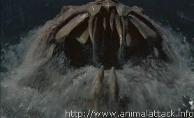 Devil Fish (aka Mosnter Shark)