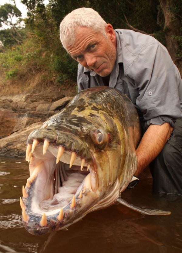 River Monsters