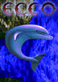Ecco the Dolphin