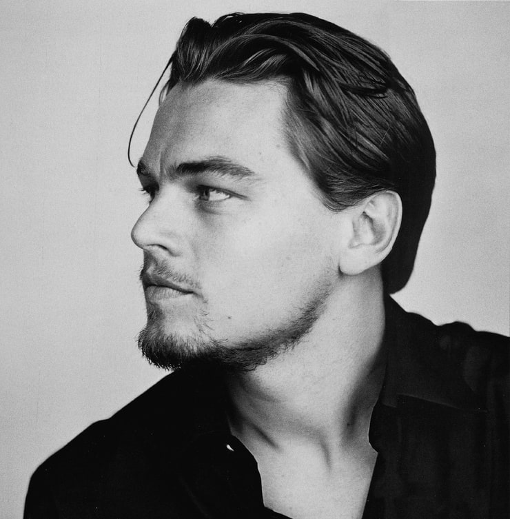 Picture of Leonardo DiCaprio