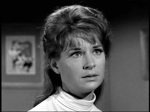 The Fugitive                                  (1963-1967)