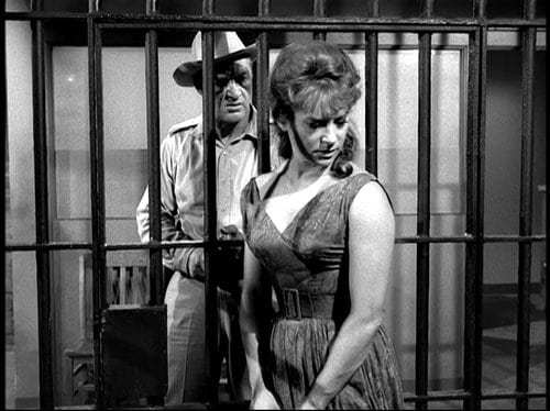 The Fugitive                                  (1963-1967)