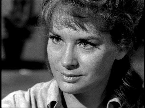 The Fugitive                                  (1963-1967)