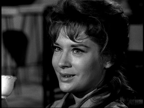 The Fugitive                                  (1963-1967)