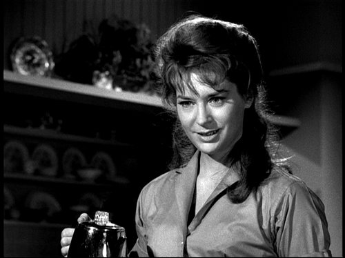 The Fugitive                                  (1963-1967)