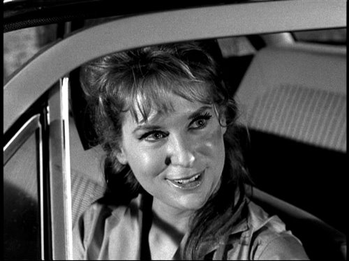 The Fugitive                                  (1963-1967)