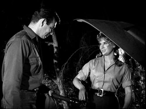 The Fugitive                                  (1963-1967)