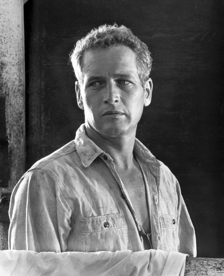 Paul Newman