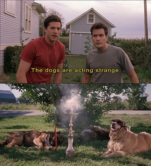 Scary Movie 3 Scary Movie 3