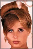 Donna Michelle