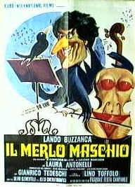 Il merlo maschio