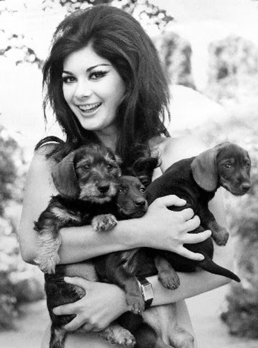 Edwige Fenech