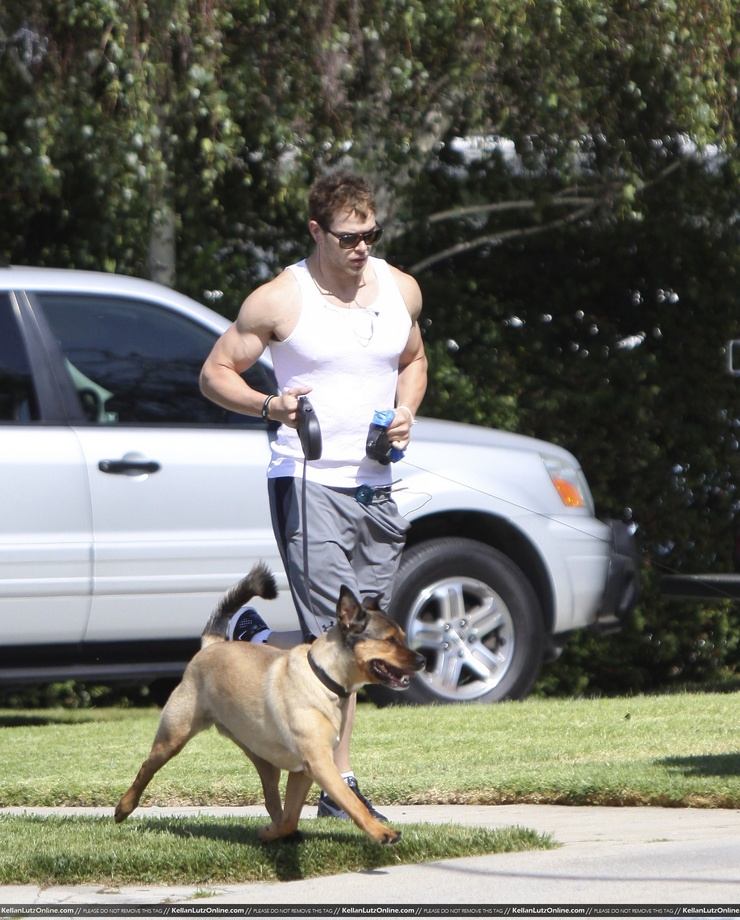 Kellan Lutz