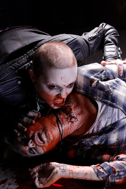 30 Days Of Night: Dark Days 
