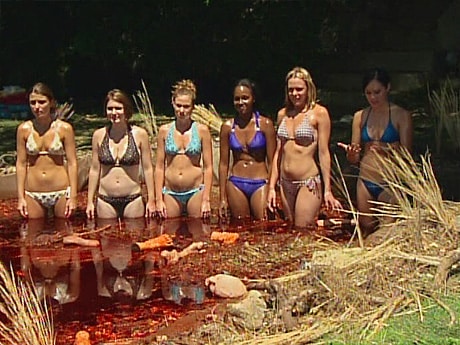 Scream Queens