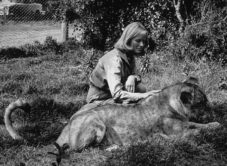 Born Free