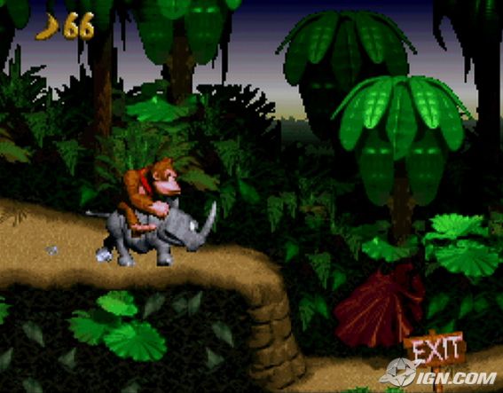 Donkey Kong Country