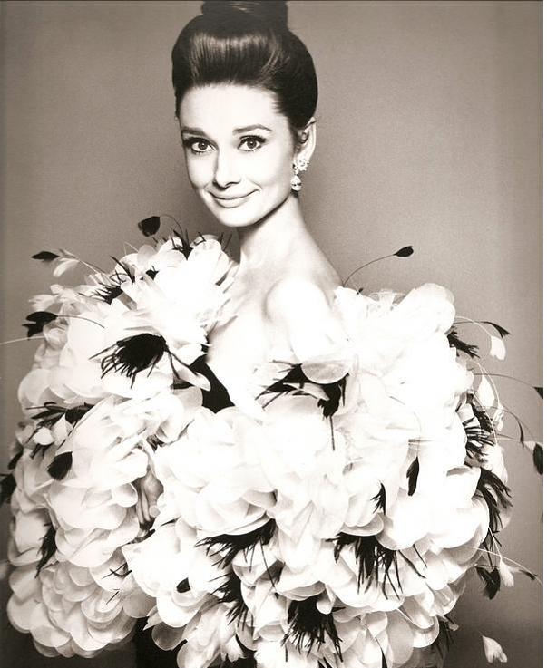 Audrey Hepburn Audrey Hepburn