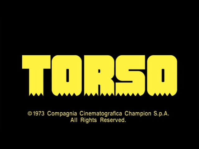Torso Torso