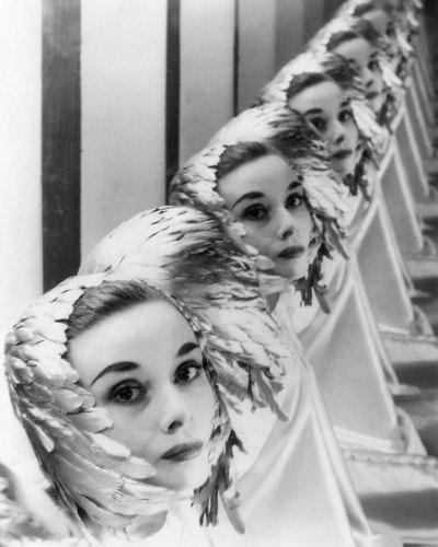 Audrey Hepburn Audrey Hepburn