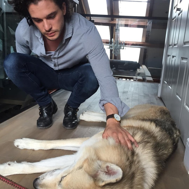 Kit Harington