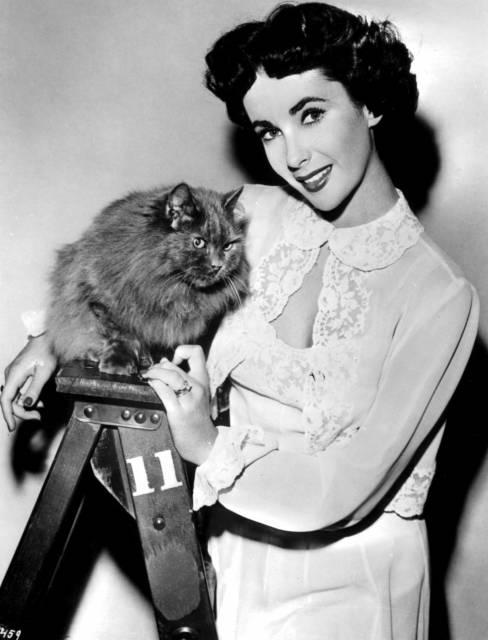 Elizabeth Taylor Elizabeth Taylor