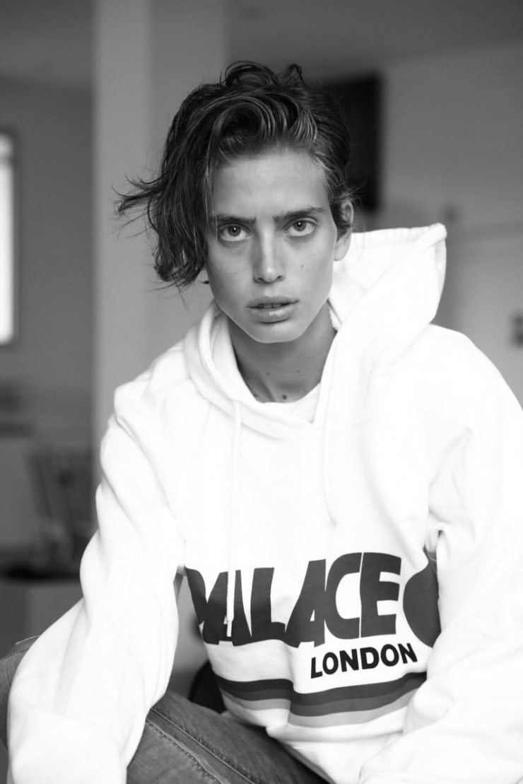 Sean Levy