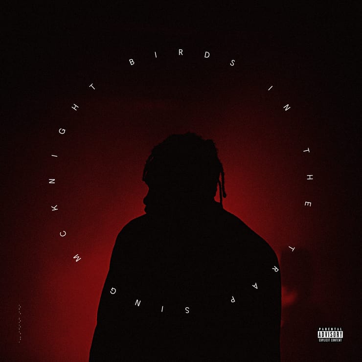 Birds In The Trap Sing McKnight [Explicit]