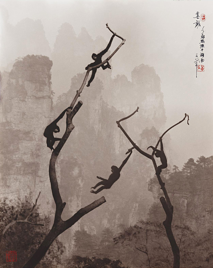 Don Hong-Oai