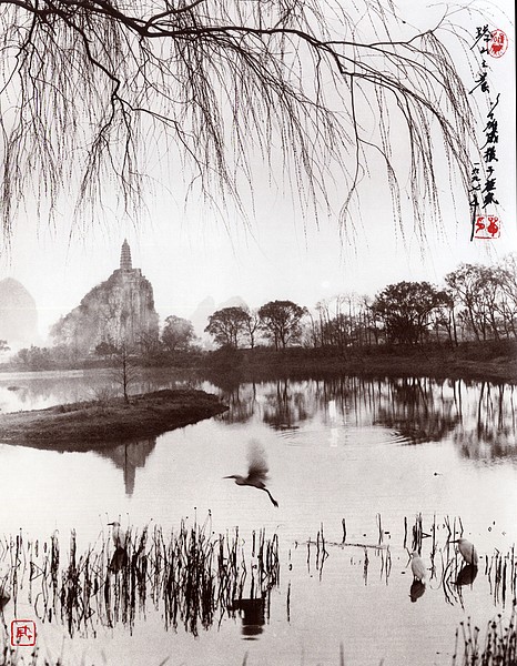 Don Hong-Oai