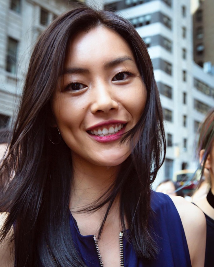 Liu Wen